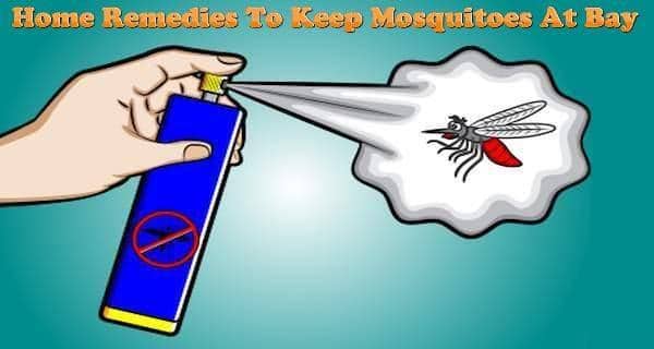 natural ways to get rid of mosquitoes