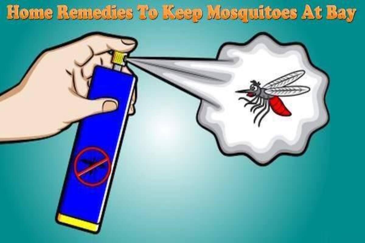 Natural Ways To Get Rid Of Mosquitoes This Monsoon Thehealthsite Com