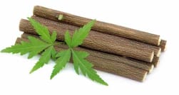 Neem twig or datun for brushing teeth: Step-by-step guide