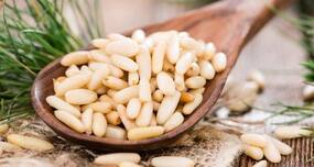Top 7 reasons to eat pine nuts during winter