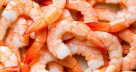 Good news for prawn lovers