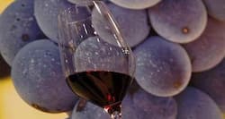 Red grapes might prevent bowel cancer, says a study