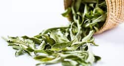 Weight Loss Tip #86 -- Add curry leaves or kadi patta to your meals
