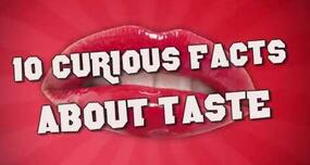 10 facts about taste that will blow your mind!