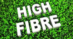 10 fibre rich foods to choose from everyday