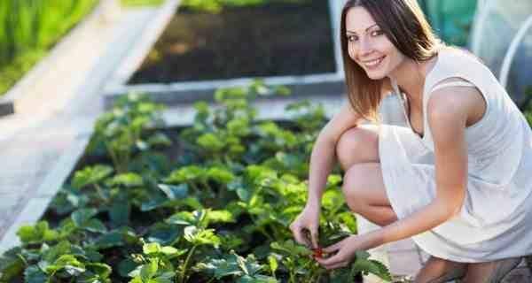 Gardening during pregnancy! 10 tips to stay safe and avoid ...