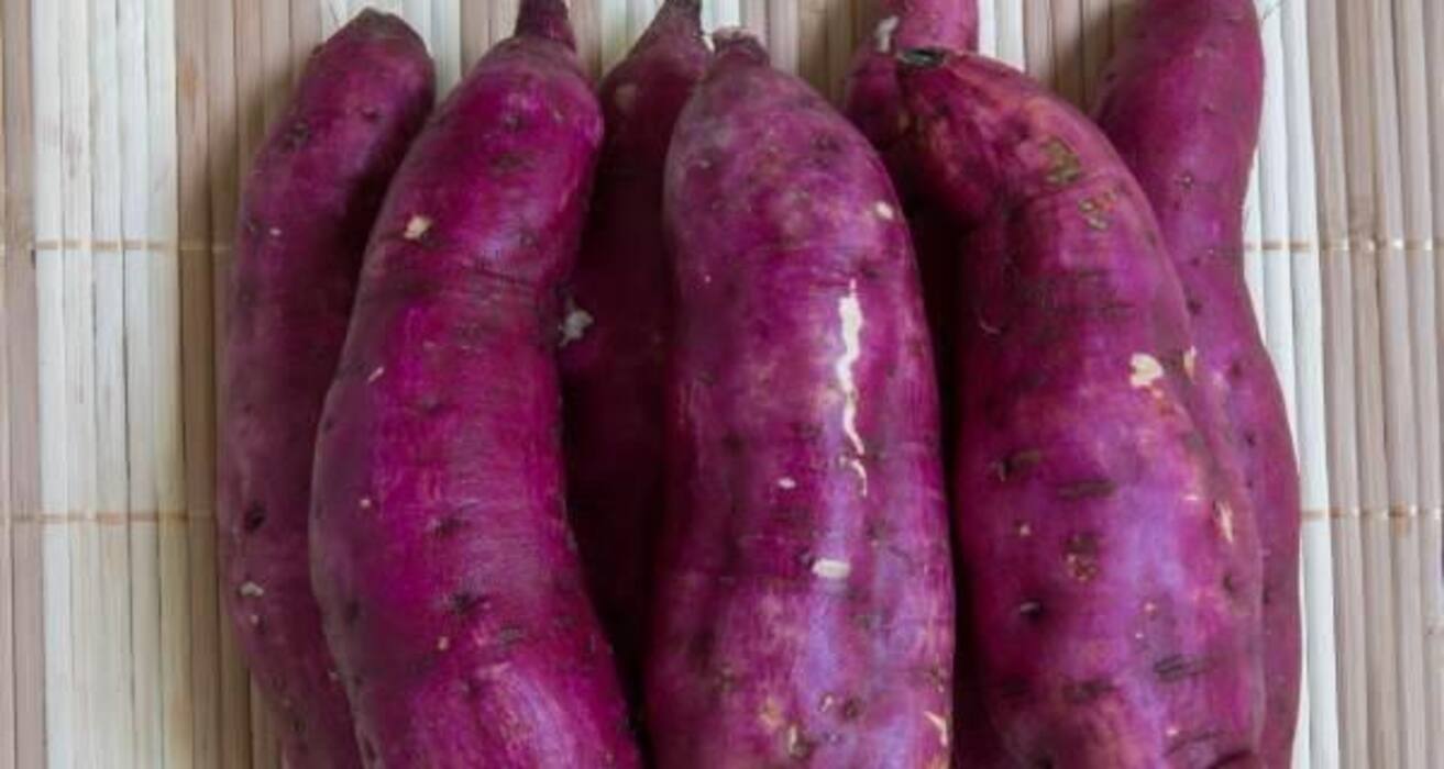 13 purple foods that you should be eating regularly
