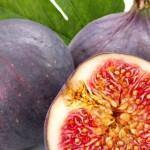 Figs