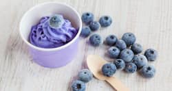 Frozen Yoghurt: All About This Healthy Dessert