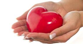Organ donation: What is brain death?