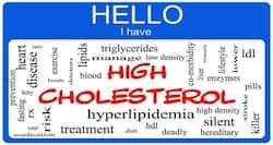 Everything you wanted to know about — cholesterol, lipid profile, VLDL, HDL and triglycerides