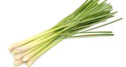 6 reasons you should drink lemon grass tea everyday