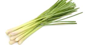 6 reasons you should drink lemon grass tea everyday