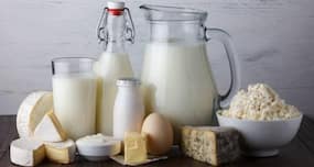 How to store milk, paneer and other dairy products the right way