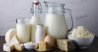How to Store Dairy Products