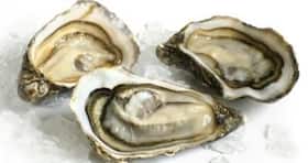 Raw oysters and shellfish can make you sick