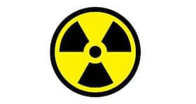 Now you can eat truffles without being scared of radioactive contamination Now you can eat truffles without being scared of radioactive contamination