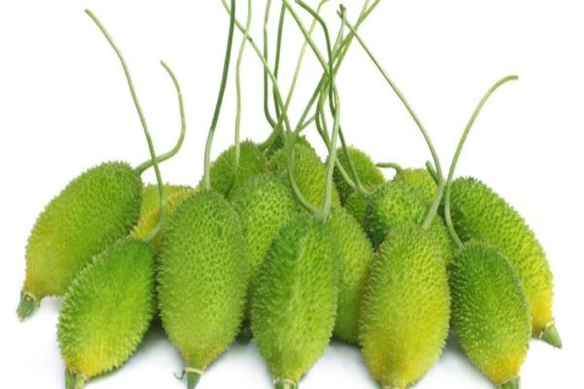 the amazing health benefits of kantola (teasle gourd