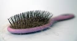 Expert recommended diet plan for fighting hair fall