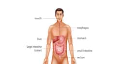 What are the diagnostic tests for gastrointestinal disorders?