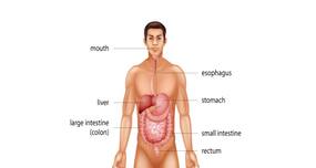 What are the diagnostic tests for gastrointestinal disorders?