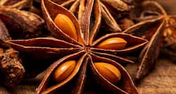 A wonder spice for treating gas troubles and colic