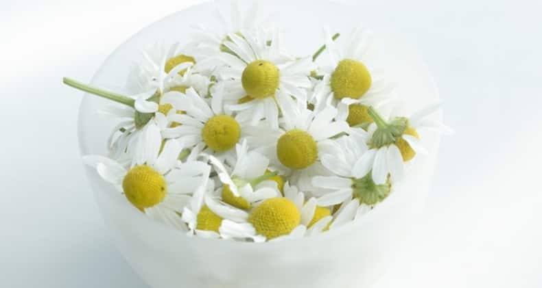 Tired of counting sheep? Try these 5 herbs to deal with insomnia (Slide Show)
