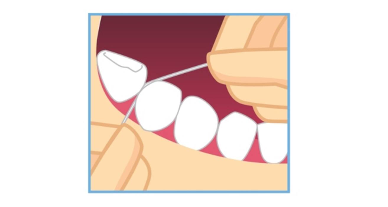 Are you brushing and flossing correctly?