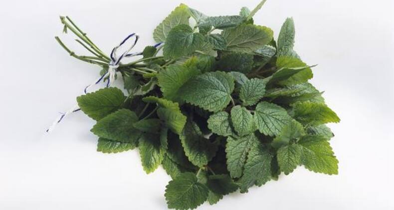Tired of counting sheep? Try these 5 herbs to deal with insomnia (Slide Show)