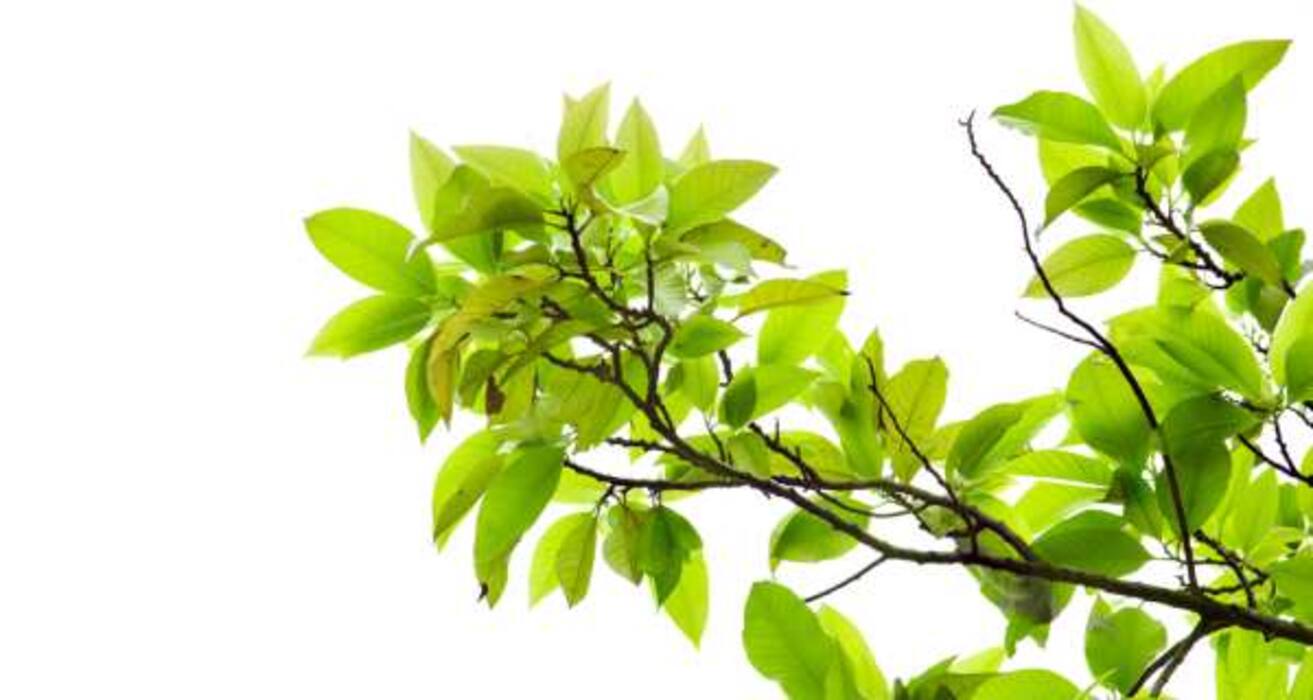 14 foods that can help fight diabetes naturally!