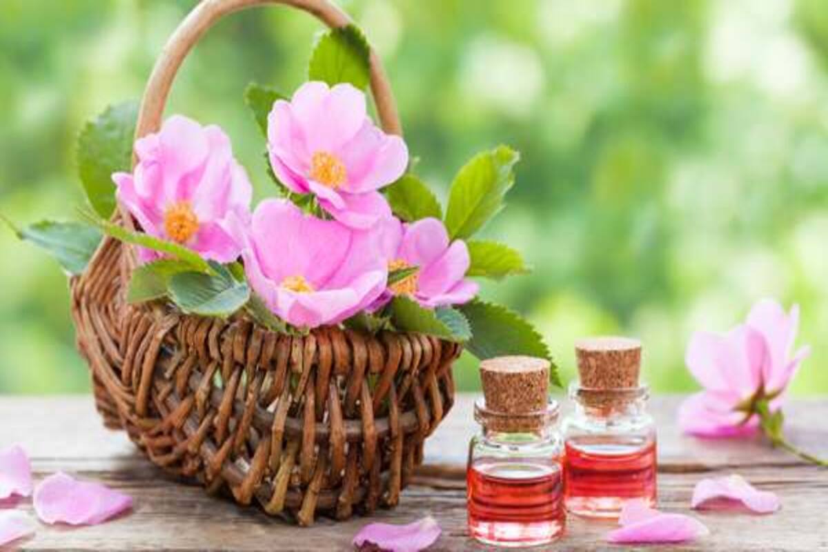 A Wonderful Essential Oil With Numerous Skin Benefits Thehealthsite Com