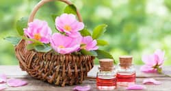 7 most nourishing facial oils for dry skin