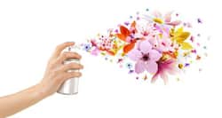 घर को खुशबू से महकाने के लिए ऐसे बनाएं एयर फ्रेशनर