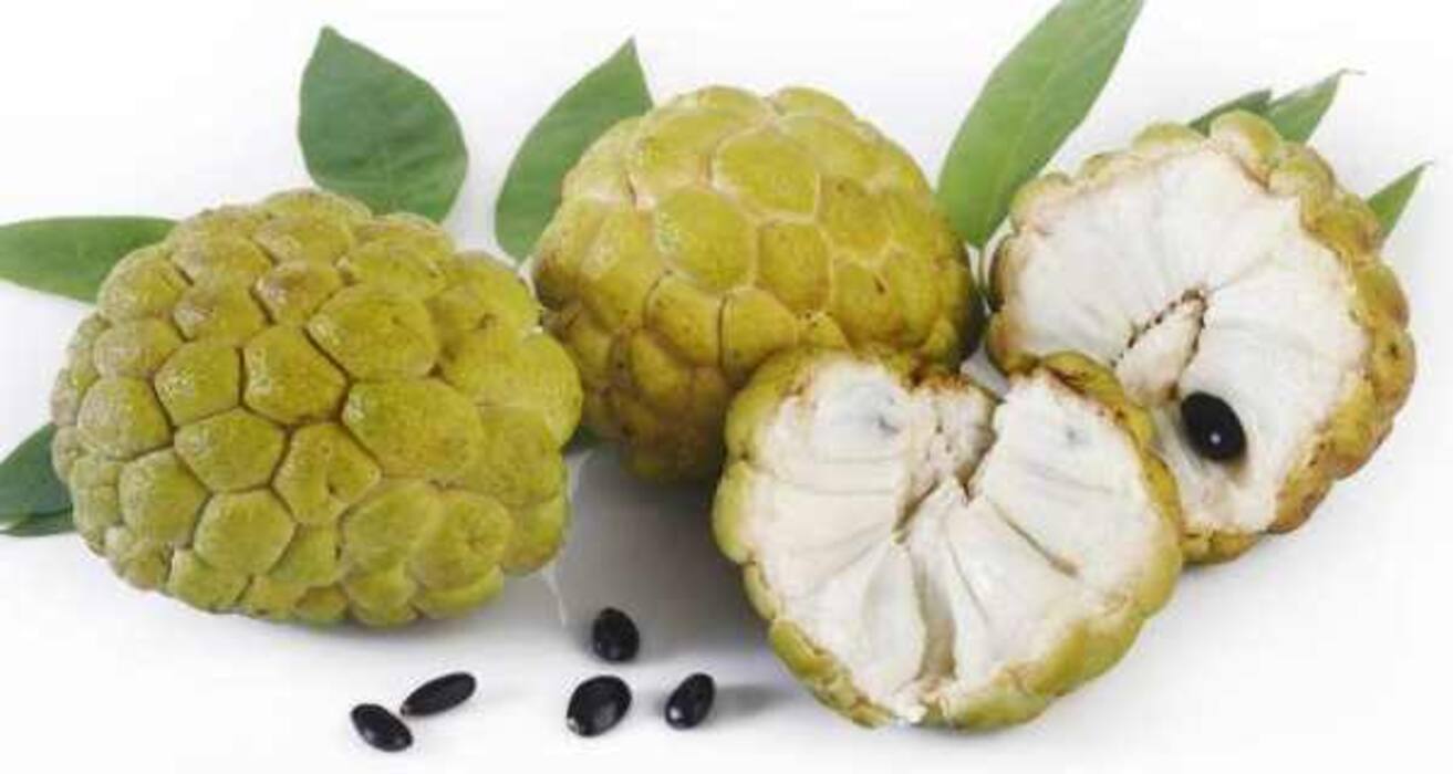 8 foods that do your eyes a world of good