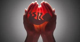 Excessive noise can damage your unborn baby’s brain Excessive noise can damage your unborn baby’s brain