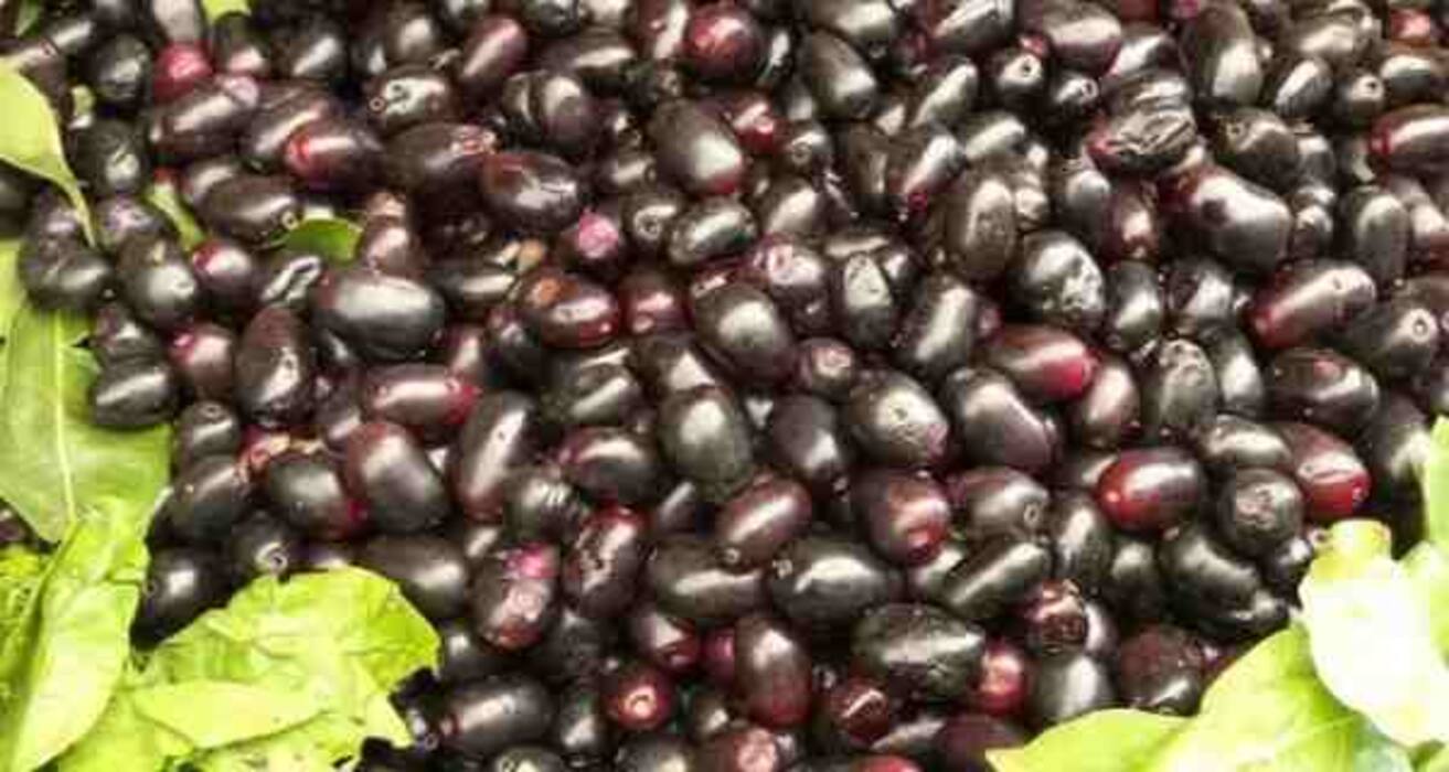 14 foods that can help fight diabetes naturally!