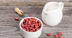 World Vegan Day -- How to make milk from peanuts and rice