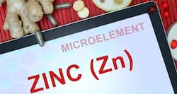 Build a strong defence mechanism with these zinc-rich foods