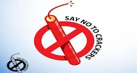 Diwali Special: Here's why you should stay away from loud crackers