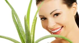 8 ways aloe vera helps you stay healthy and beautiful!