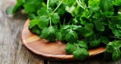5 ways to include coriander in your diet