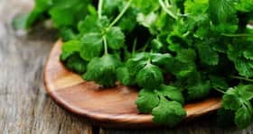 5 ways to include coriander in your diet