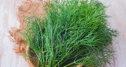 डिल लीव्स: नहीं हैं ये केवल सजावट की चीज़, हैं बहुत सेहतमंद