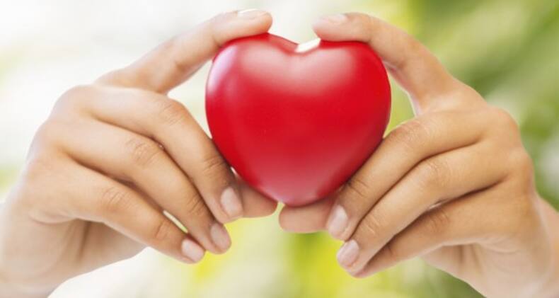 Fats improve memory and 5 other reasons to have them in your daily diet!