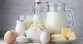 Dairy foods, vitamin D supplements may prevent bone loss