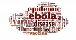 Simple diagnostic tests can save many lives -- Research