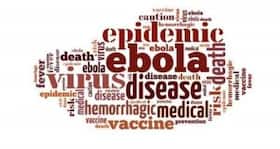 Simple diagnostic tests can save many lives -- Research