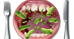 Now detecting bacteria in food gets easier