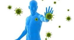 Scientists find how gut neurons help the immune system control inflammation