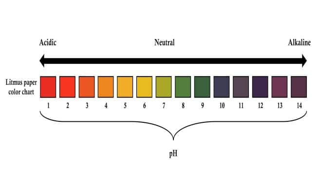 What does pH value mean? | TheHealthSite.com